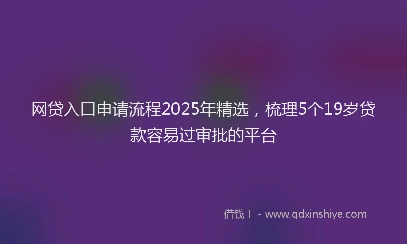 网贷入口申请流程2025年精选，梳理5个19岁贷款容易过审批的平台