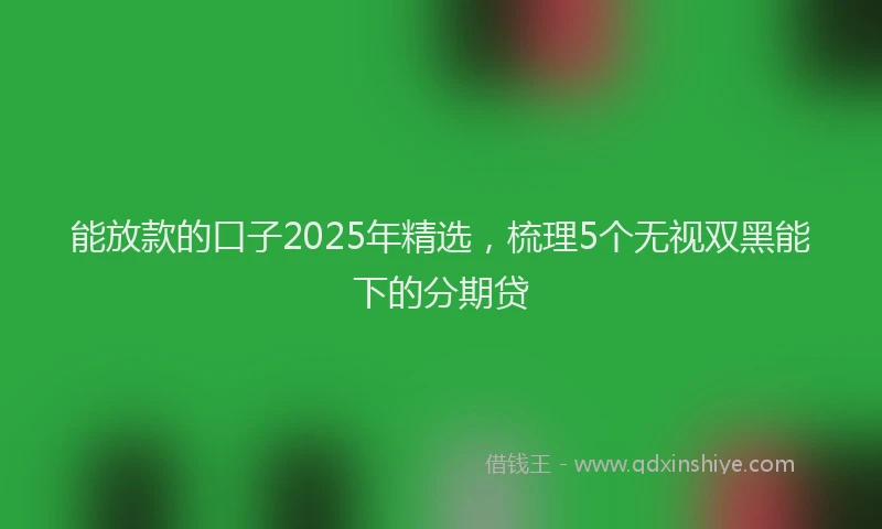 能放款的口子2025年精选，梳理5个无视双黑能下的分期贷
