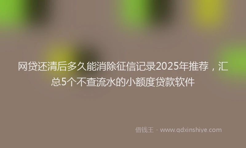 网贷还清后多久能消除征信记录2025年推荐，汇总5个不查流水的小额度贷款软件