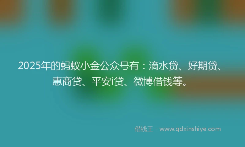 2025年的蚂蚁小金公众号有：滴水贷、好期贷、惠商贷、平安i贷、微博借钱等。