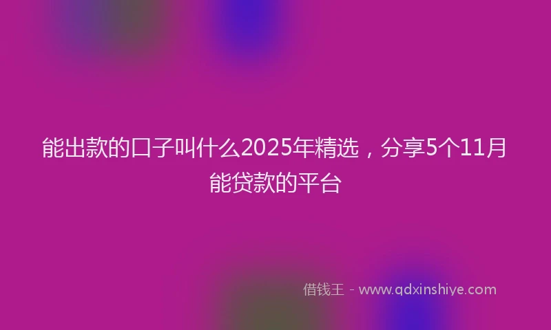 能出款的口子叫什么2025年精选，分享5个11月能贷款的平台