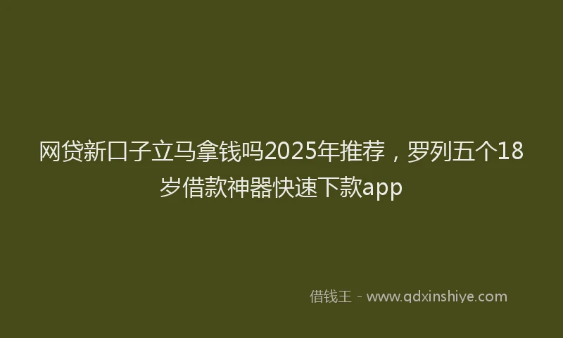 网贷新口子立马拿钱吗2025年推荐，罗列五个18岁借款神器快速下款app