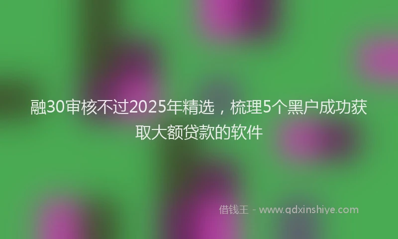 融30审核不过2025年精选，梳理5个黑户成功获取大额贷款的软件
