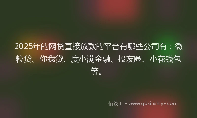 2025年的网贷直接放款的平台有哪些公司有：微粒贷、你我贷、度小满金融、投友圈、小花钱包等。