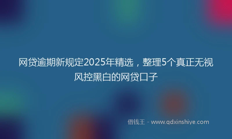 网贷逾期新规定2025年精选，整理5个真正无视风控黑白的网贷口子