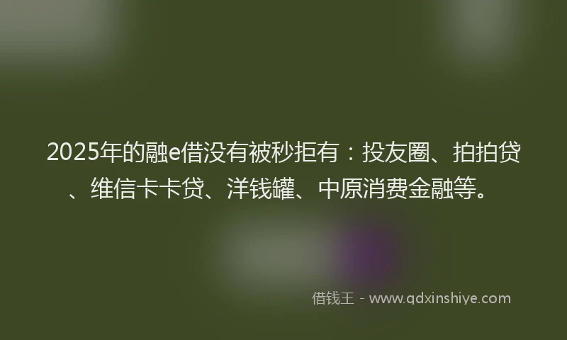 2025年的融e借没有被秒拒有：投友圈、拍拍贷、维信卡卡贷、洋钱罐、中原消费金融等。