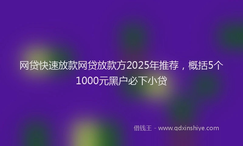 网贷快速放款网贷放款方2025年推荐，概括5个1000元黑户必下小贷