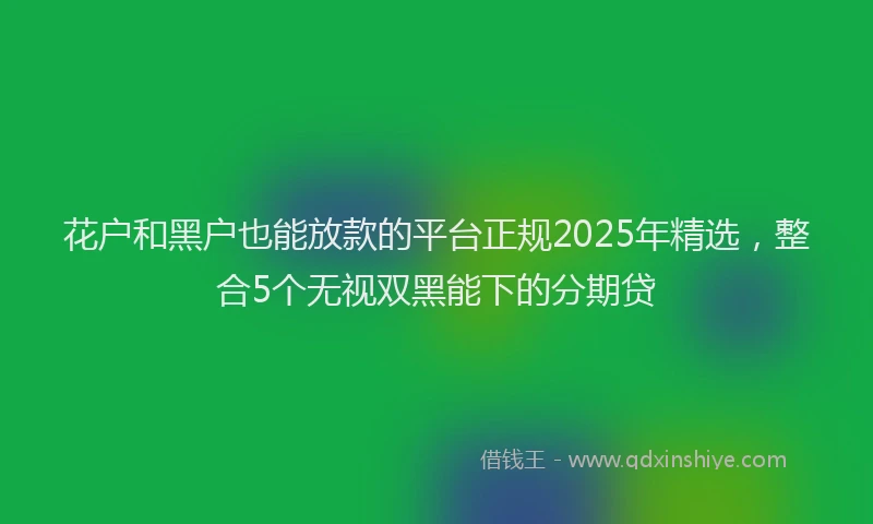 花户和黑户也能放款的平台正规2025年精选，整合5个无视双黑能下的分期贷