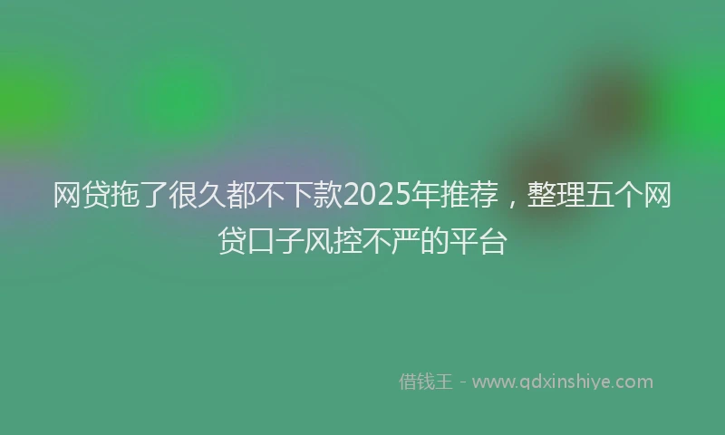 网贷拖了很久都不下款2025年推荐，整理五个网贷口子风控不严的平台