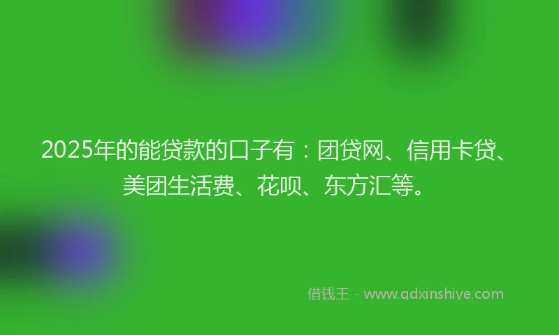 2025年的能贷款的口子有：团贷网、信用卡贷、美团生活费、花呗、东方汇等。