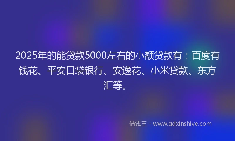 2025年的能贷款5000左右的小额贷款有：百度有钱花、平安口袋银行、安逸花、小米贷款、东方汇等。