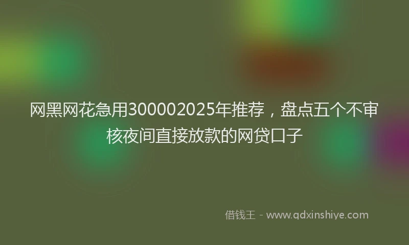 网黑网花急用300002025年推荐，盘点五个不审核夜间直接放款的网贷口子
