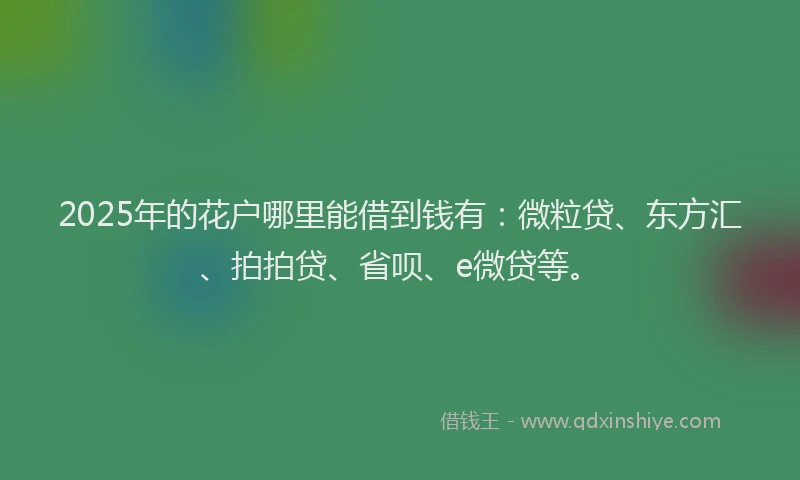 2025年的花户哪里能借到钱有：微粒贷、东方汇、拍拍贷、省呗、e微贷等。