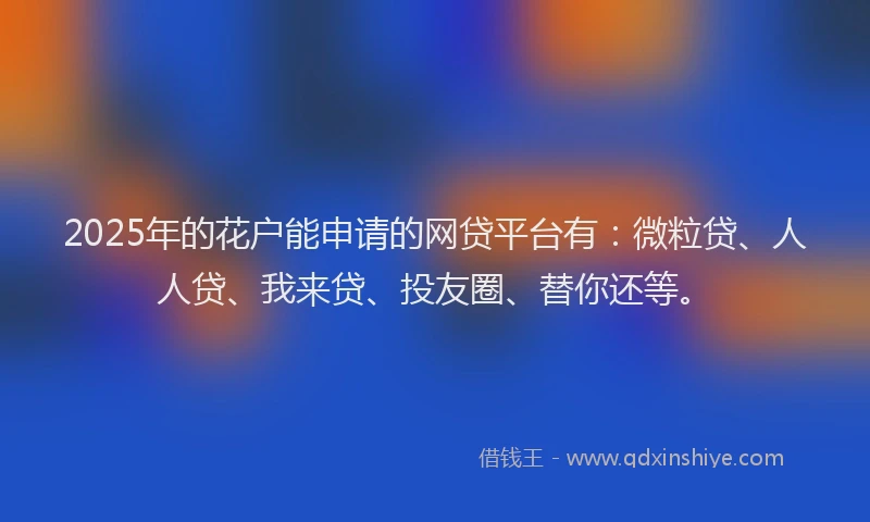 2025年的花户能申请的网贷平台有：微粒贷、人人贷、我来贷、投友圈、替你还等。