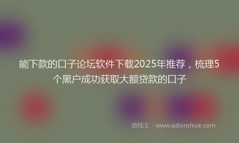 能下款的口子论坛软件下载2025年推荐，梳理5个黑户成功获取大额贷款的口子