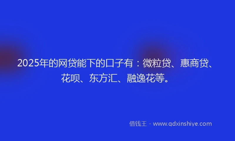 2025年的网贷能下的口子有：微粒贷、惠商贷、花呗、东方汇、融逸花等。