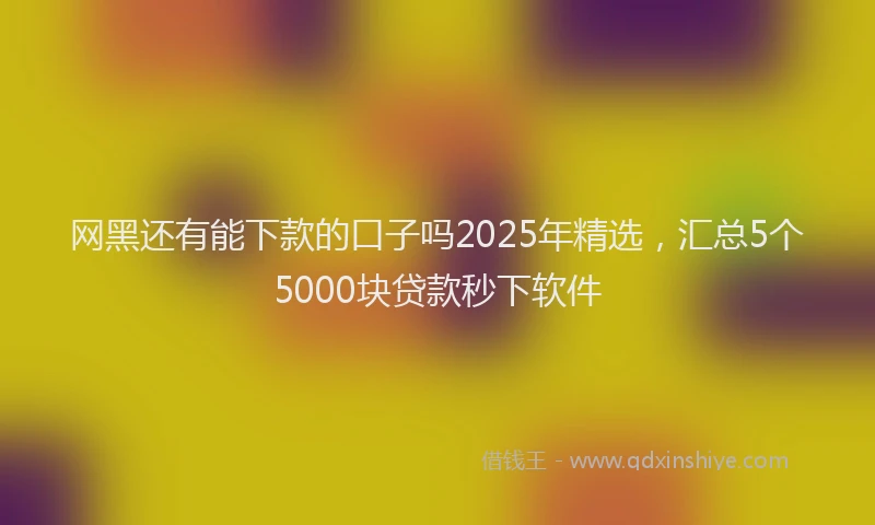 网黑还有能下款的口子吗2025年精选，汇总5个5000块贷款秒下软件