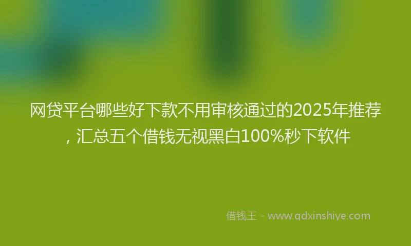 网贷平台哪些好下款不用审核通过的2025年推荐，汇总五个借钱无视黑白100%秒下软件