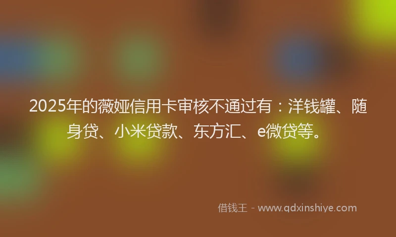 2025年的薇娅信用卡审核不通过有：洋钱罐、随身贷、小米贷款、东方汇、e微贷等。