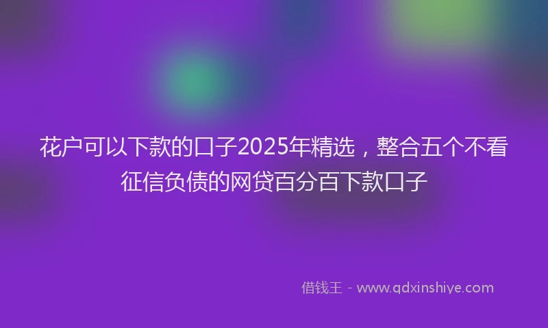 花户可以下款的口子2025年精选，整合五个不看征信负债的网贷百分百下款口子