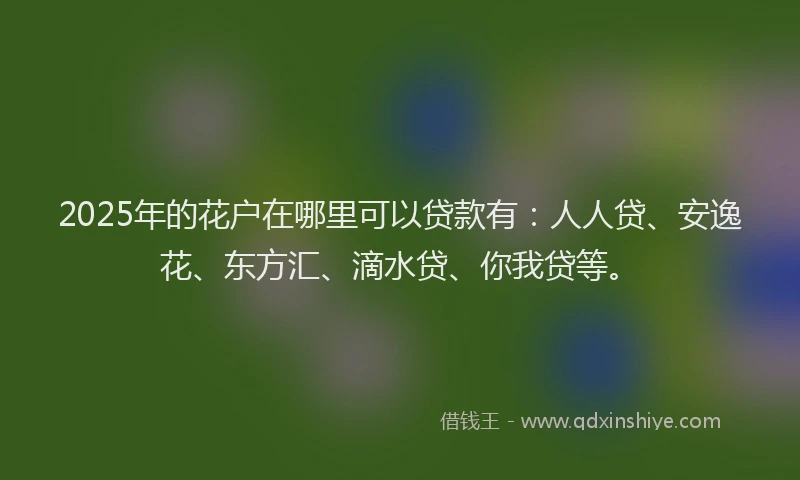 2025年的花户在哪里可以贷款有：人人贷、安逸花、东方汇、滴水贷、你我贷等。