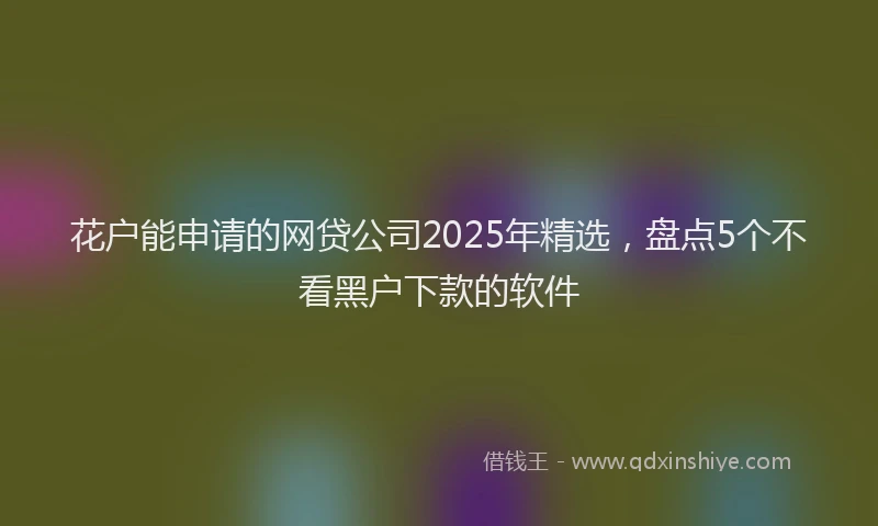 花户能申请的网贷公司2025年精选，盘点5个不看黑户下款的软件