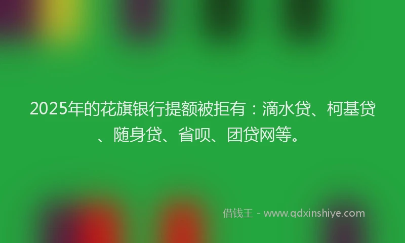 2025年的花旗银行提额被拒有：滴水贷、柯基贷、随身贷、省呗、团贷网等。