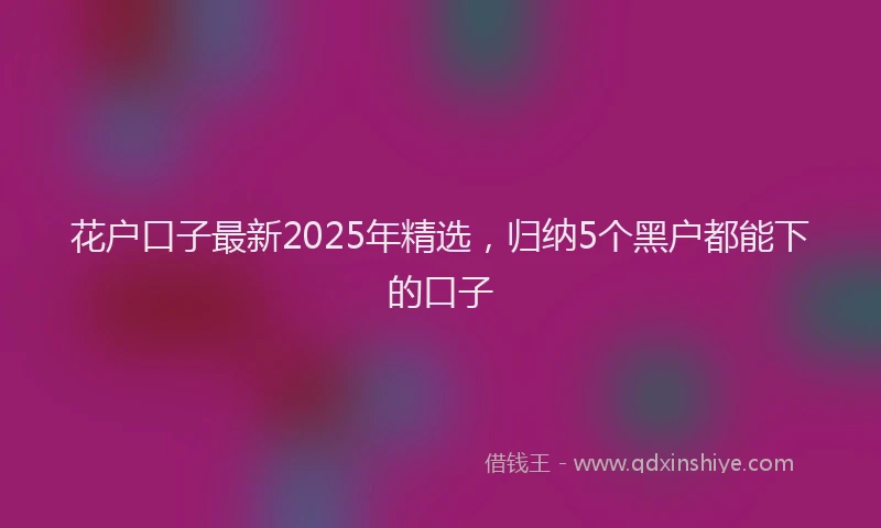 花户口子最新2025年精选，归纳5个黑户都能下的口子