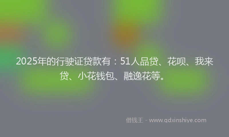2025年的行驶证贷款有：51人品贷、花呗、我来贷、小花钱包、融逸花等。