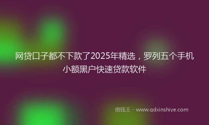 网贷口子都不下款了2025年精选，罗列五个手机小额黑户快速贷款软件