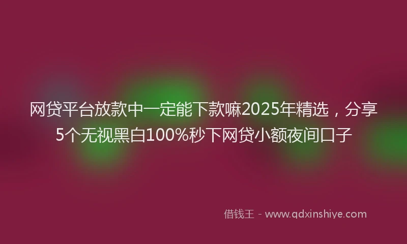 网贷平台放款中一定能下款嘛2025年精选，分享5个无视黑白100%秒下网贷小额夜间口子