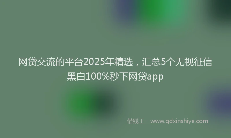 网贷交流的平台2025年精选，汇总5个无视征信黑白100%秒下网贷app