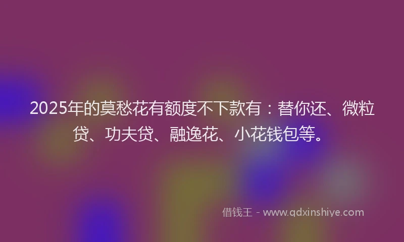 2025年的莫愁花有额度不下款有：替你还、微粒贷、功夫贷、融逸花、小花钱包等。
