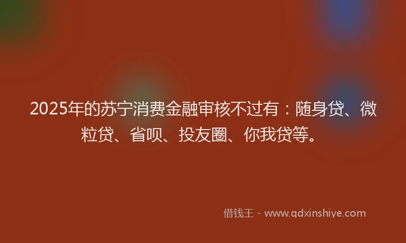 2025年的苏宁消费金融审核不过有：随身贷、微粒贷、省呗、投友圈、你我贷等。