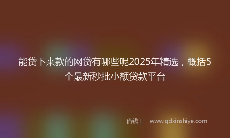 能贷下来款的网贷有哪些呢2025年精选，概括5个最新秒批小额贷款平台