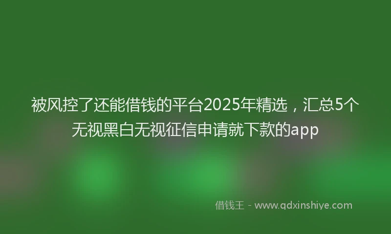 被风控了还能借钱的平台2025年精选，汇总5个无视黑白无视征信申请就下款的app