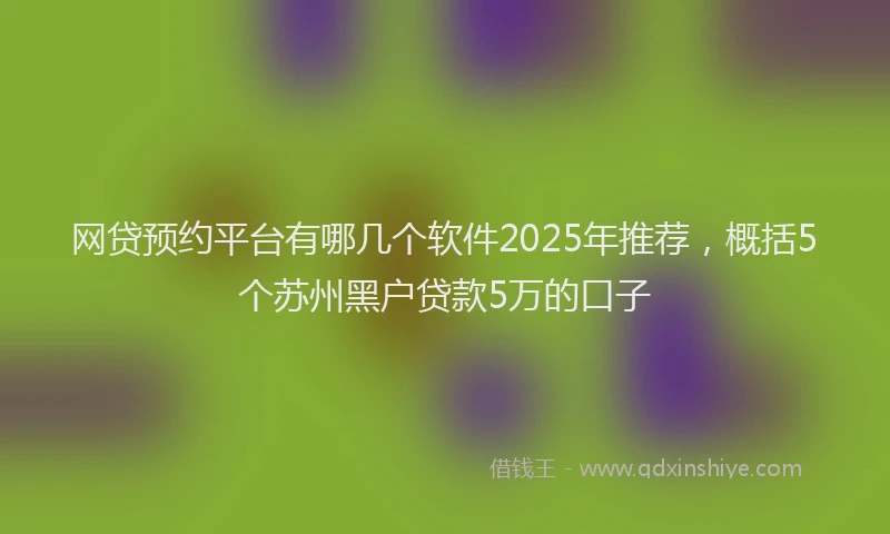 网贷预约平台有哪几个软件2025年推荐，概括5个苏州黑户贷款5万的口子