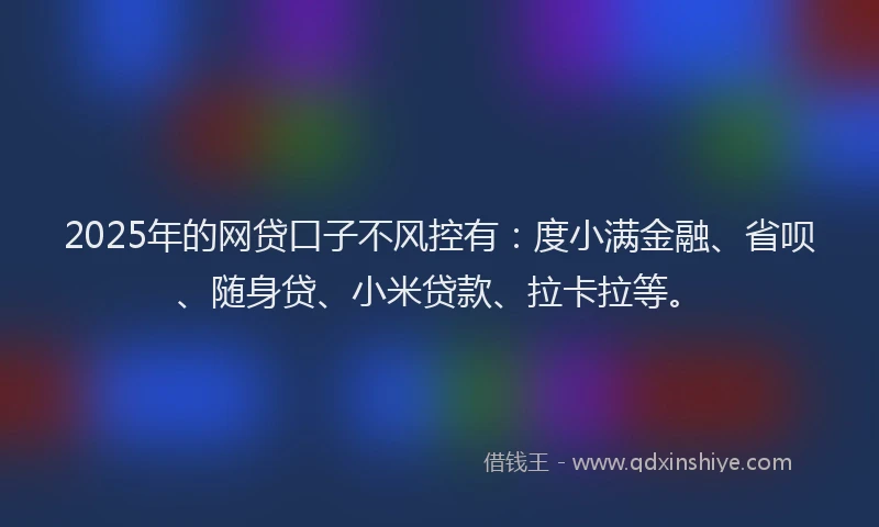 2025年的网贷口子不风控有：度小满金融、省呗、随身贷、小米贷款、拉卡拉等。
