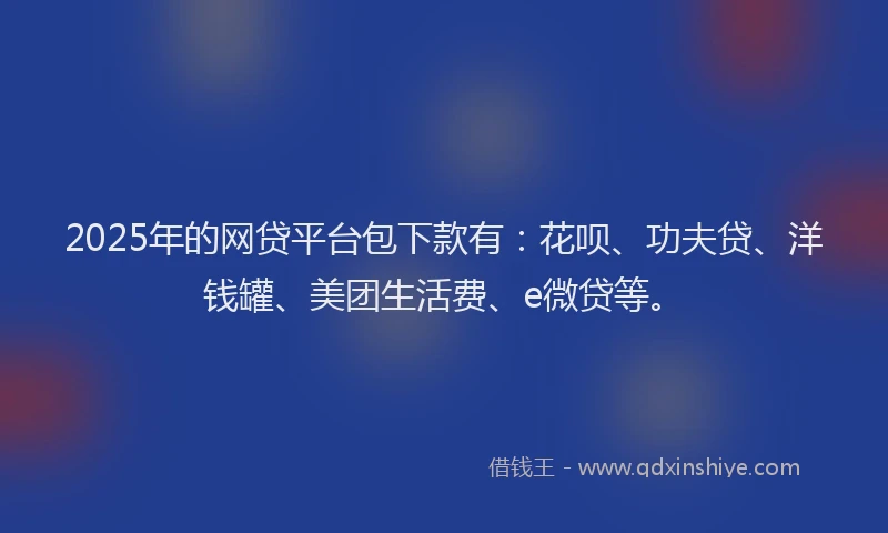 2025年的网贷平台包下款有：花呗、功夫贷、洋钱罐、美团生活费、e微贷等。