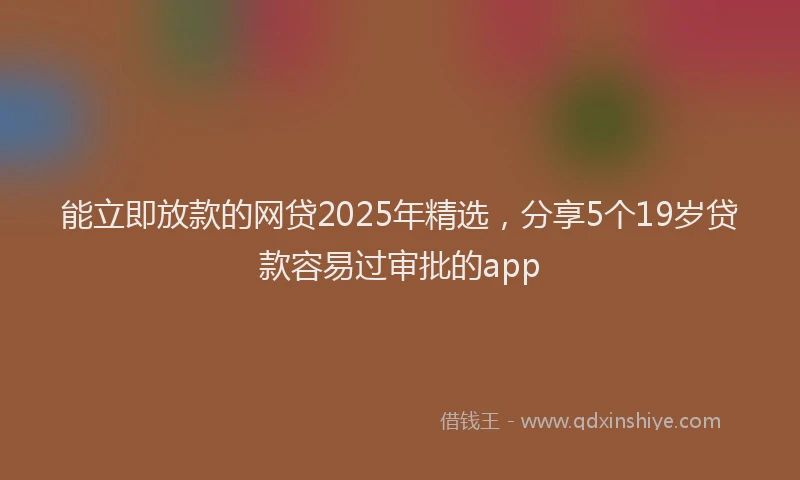 能立即放款的网贷2025年精选，分享5个19岁贷款容易过审批的app