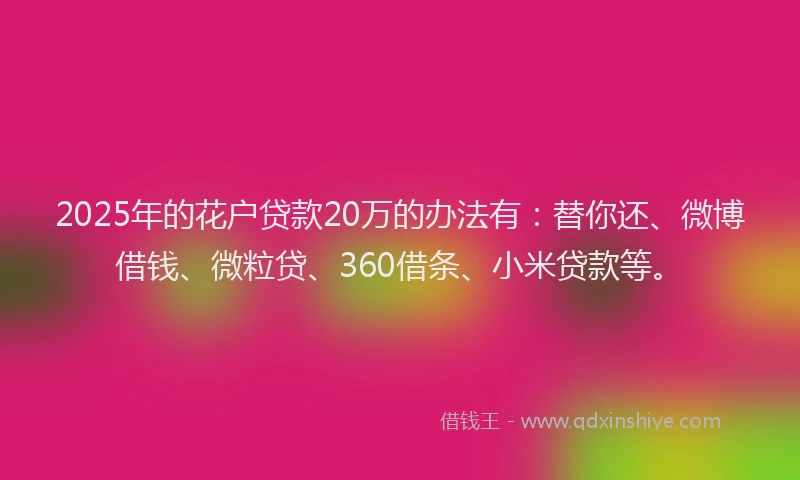 2025年的花户贷款20万的办法有：替你还、微博借钱、微粒贷、360借条、小米贷款等。