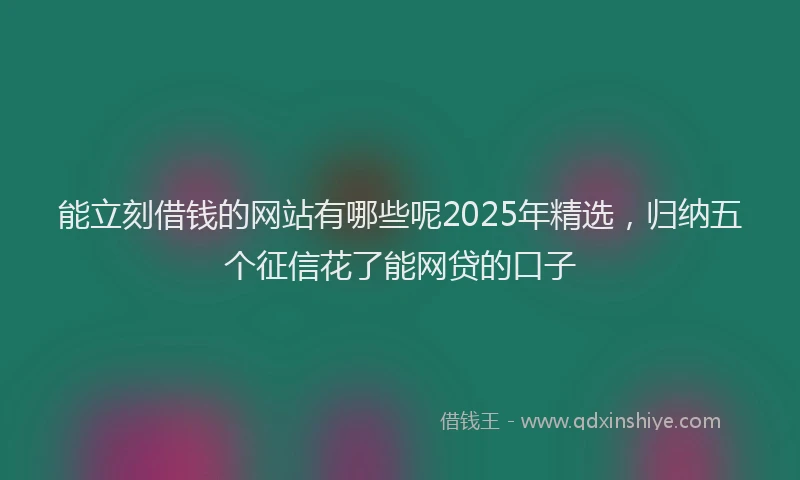 能立刻借钱的网站有哪些呢2025年精选，归纳五个征信花了能网贷的口子