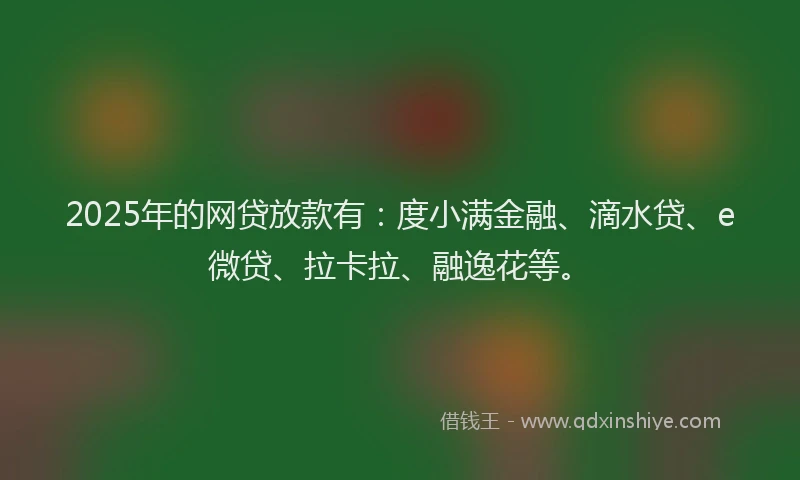 2025年的网贷放款有：度小满金融、滴水贷、e微贷、拉卡拉、融逸花等。