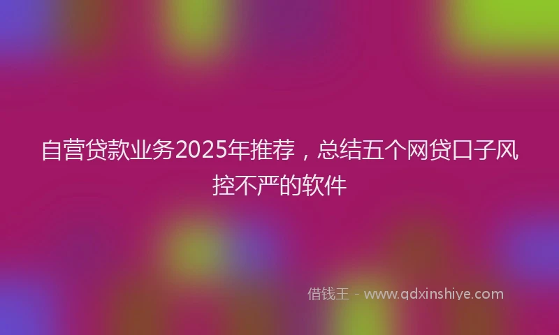 自营贷款业务2025年推荐，总结五个网贷口子风控不严的软件