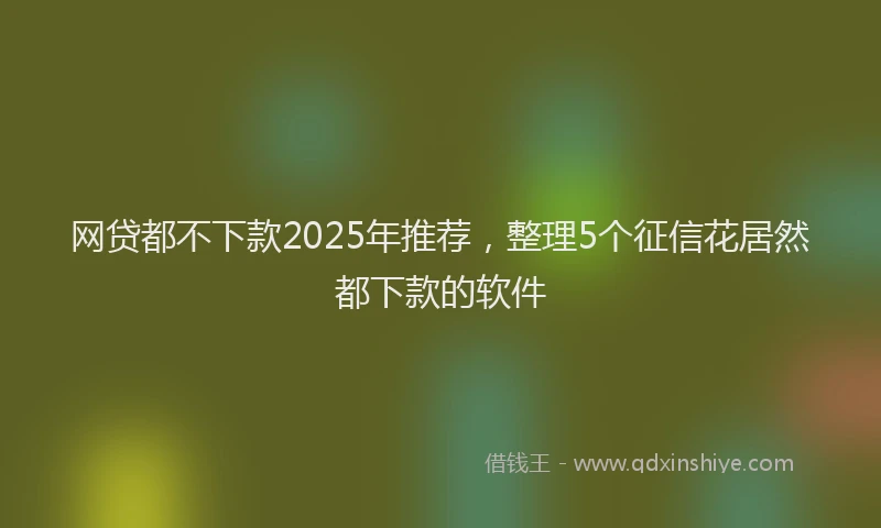 网贷都不下款2025年推荐，整理5个征信花居然都下款的软件