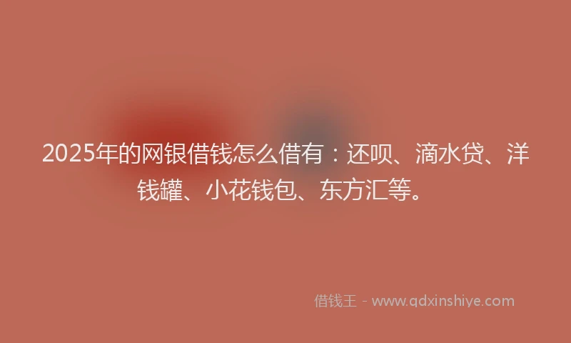 2025年的网银借钱怎么借有：还呗、滴水贷、洋钱罐、小花钱包、东方汇等。