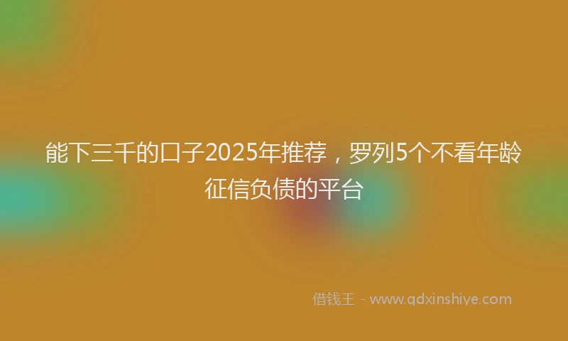 能下三千的口子2025年推荐，罗列5个不看年龄征信负债的平台