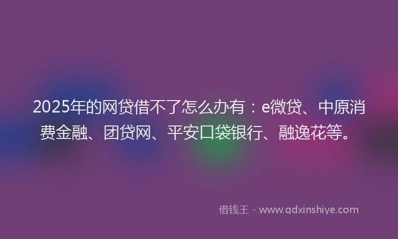 2025年的网贷借不了怎么办有：e微贷、中原消费金融、团贷网、平安口袋银行、融逸花等。