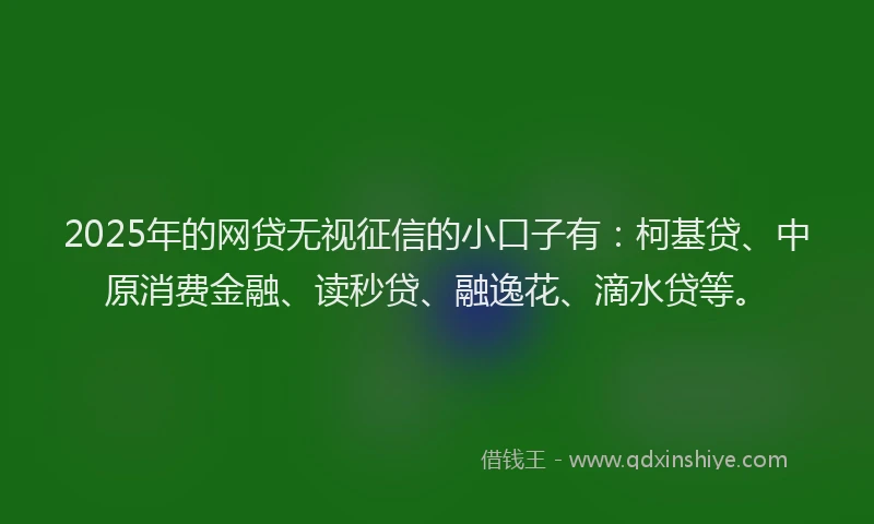 2025年的网贷无视征信的小口子有：柯基贷、中原消费金融、读秒贷、融逸花、滴水贷等。