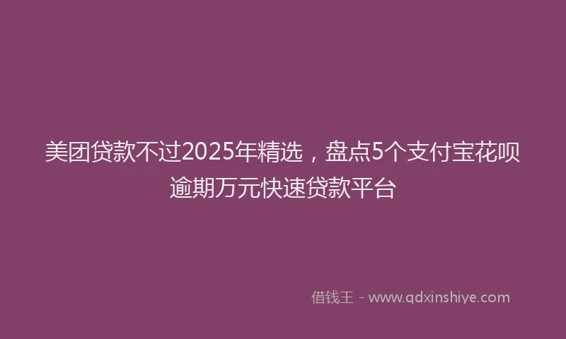 美团贷款不过2025年精选，盘点5个支付宝花呗逾期万元快速贷款平台